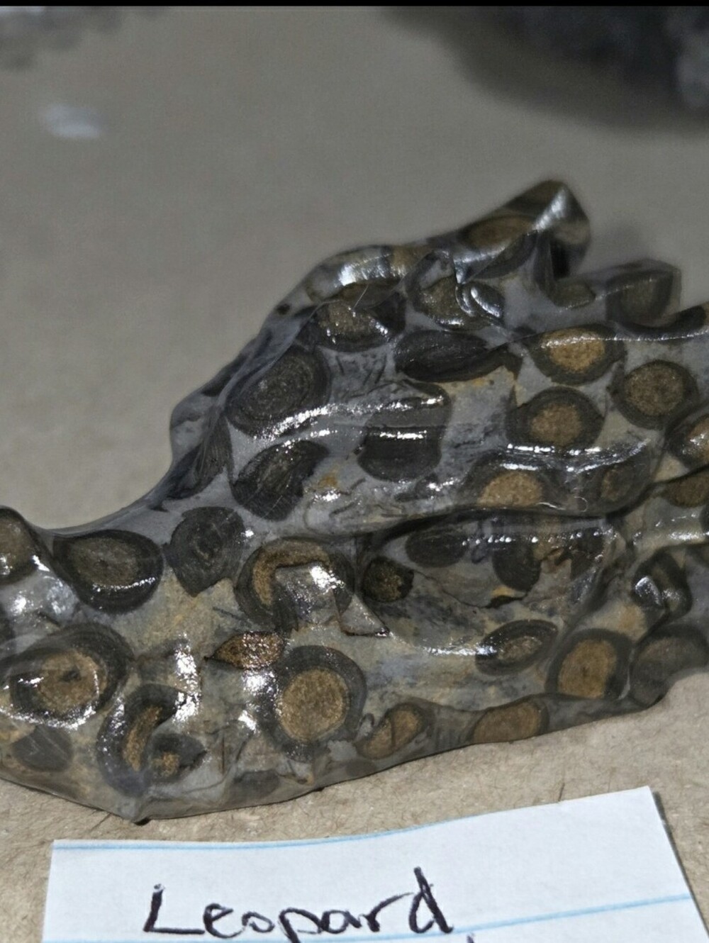 Detailed Leopard Skin Jasper Crystal Carved Dragon Head Stone Sculpture Decor